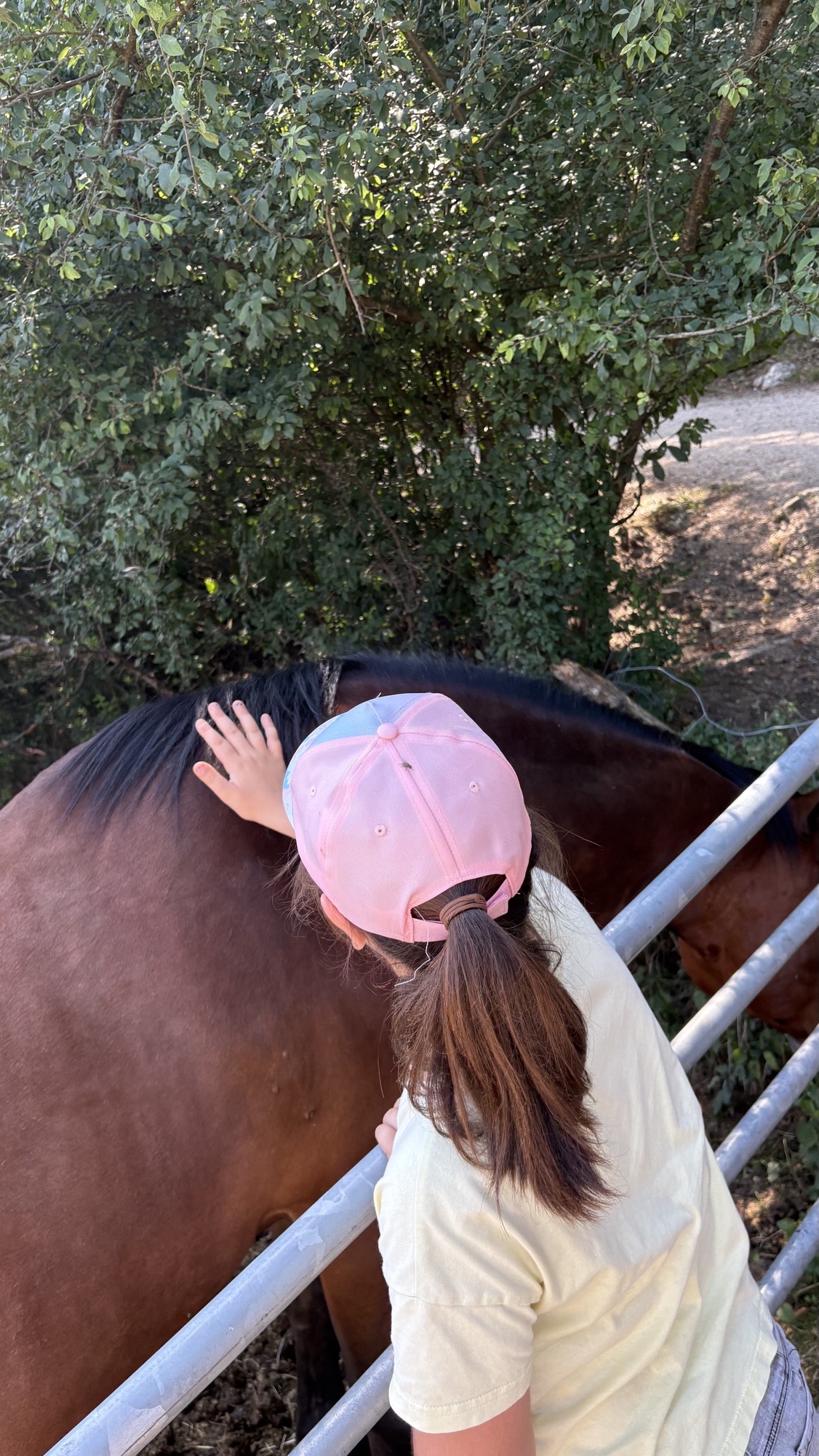 Ein Mädchen mit einer rosa Cappie streichelt den Rücken eines Pferdes