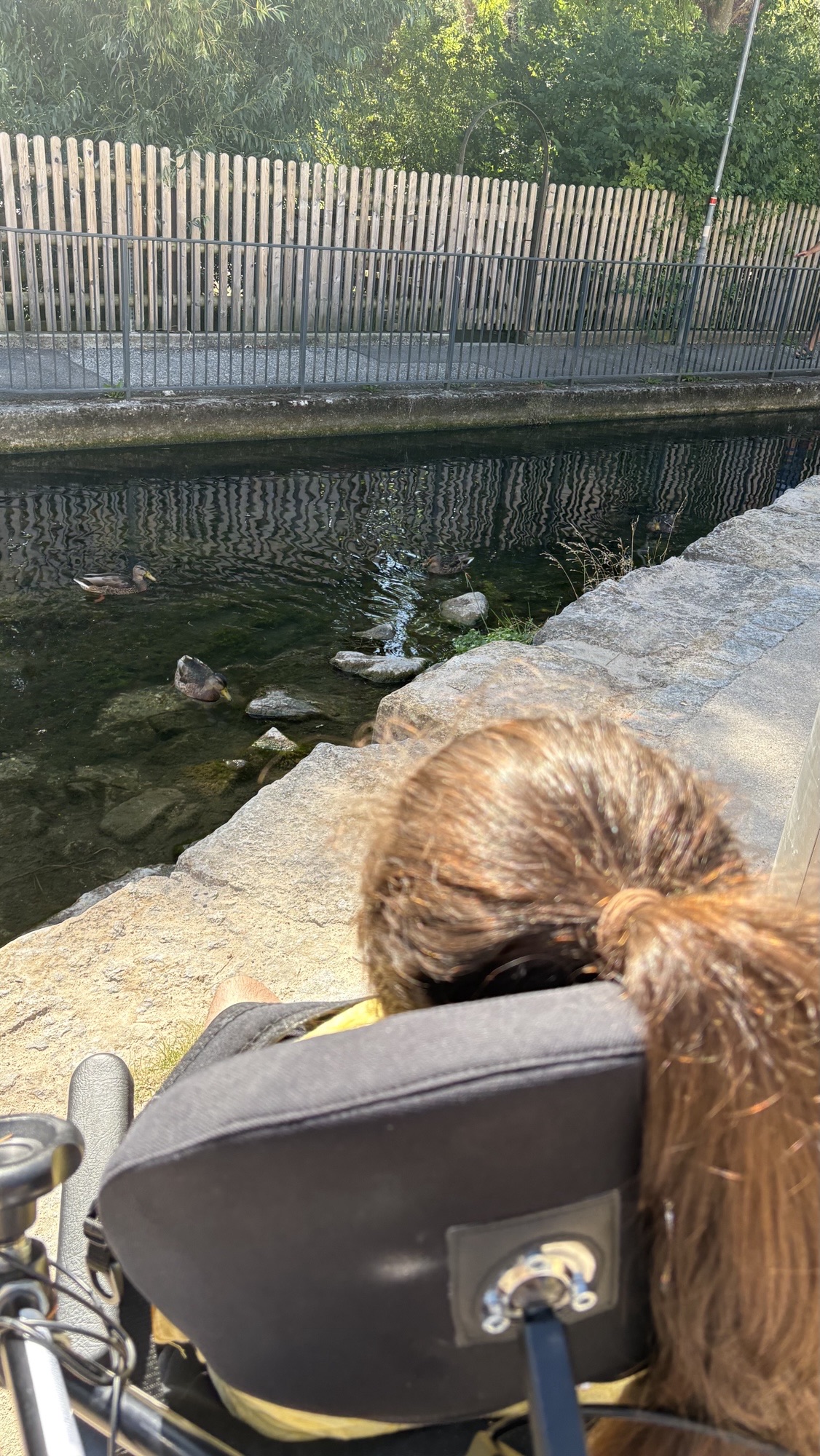 Ein Mädchen in einem Rollstuhl blickt auf einen Teich